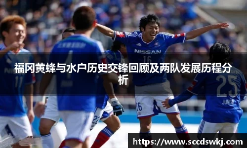 333体育平台