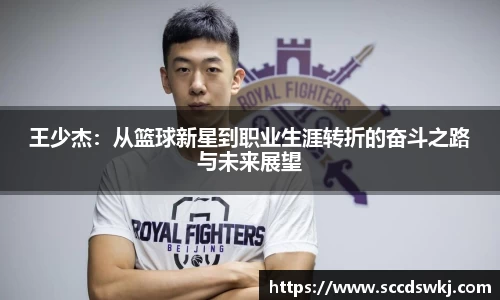 王少杰：从篮球新星到职业生涯转折的奋斗之路与未来展望
