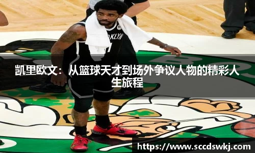 333体育平台