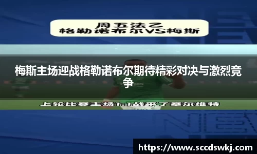 333体育app