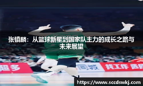 333体育