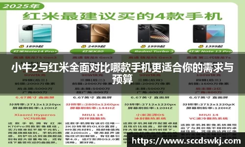 333体育官网