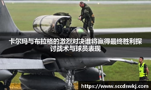 333体育官网