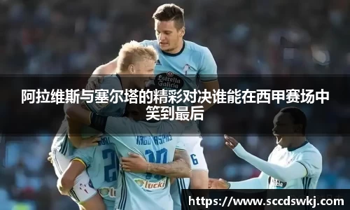 333体育官网