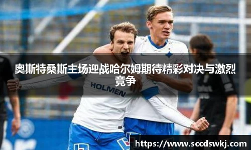 333体育官网
